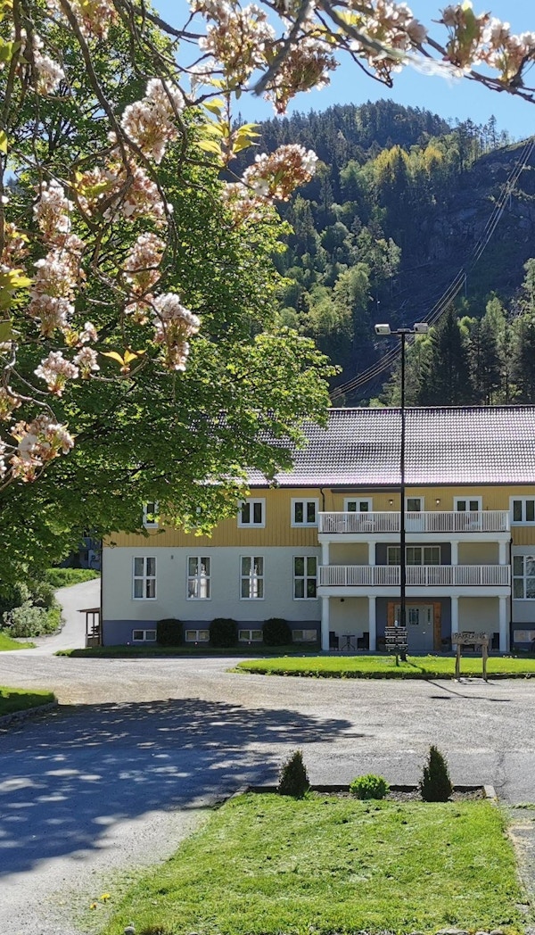 Kvastunet ill 4